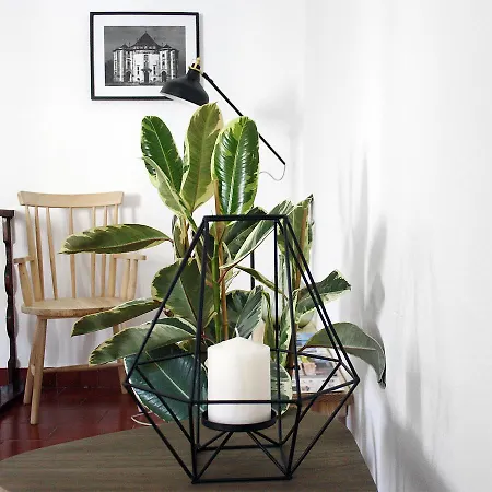 Foral - 3* Óbidos